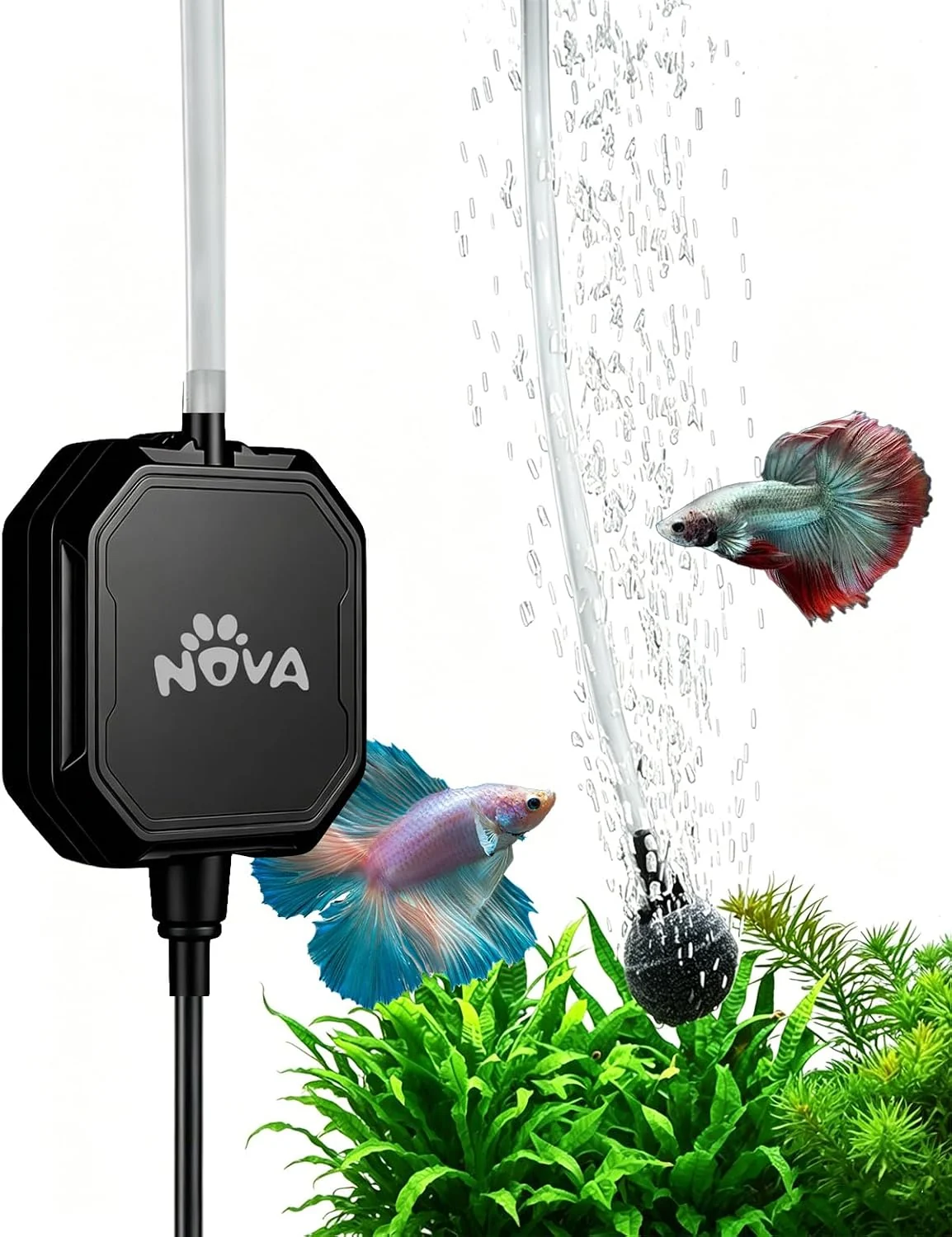 Freshwater aquarium equipment checklist